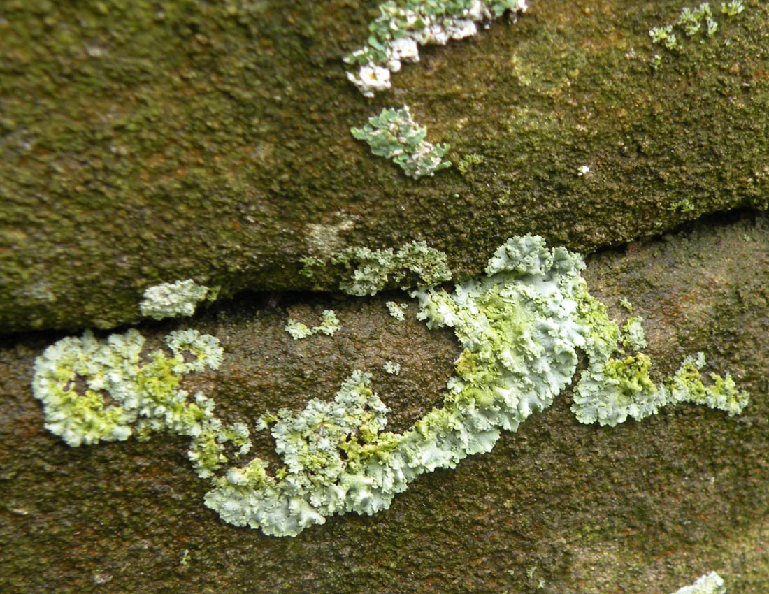 Visitando una abbazia gotica...